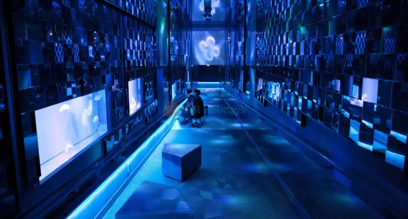 Sumida Aquarium - Image 1 of 5