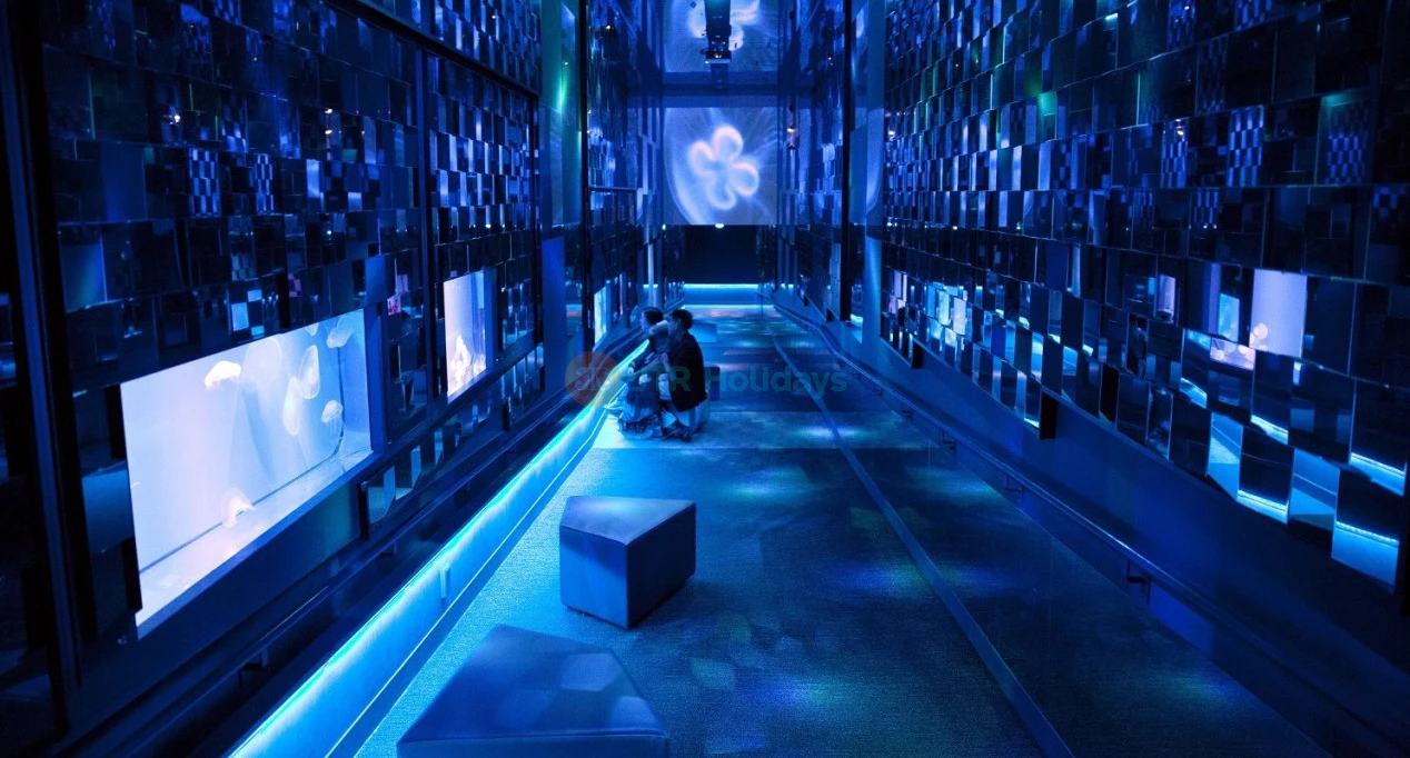 Sumida Aquarium - Image 1 of 5