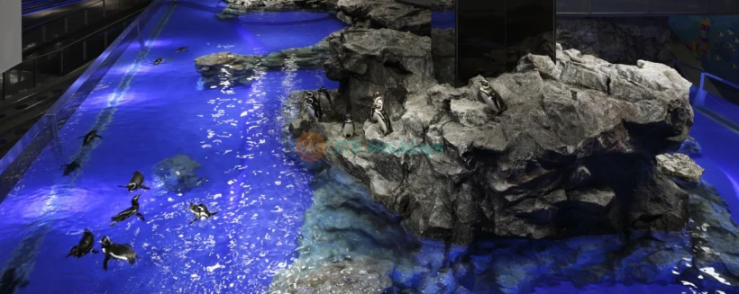 Sumida Aquarium - Image 3 of 5