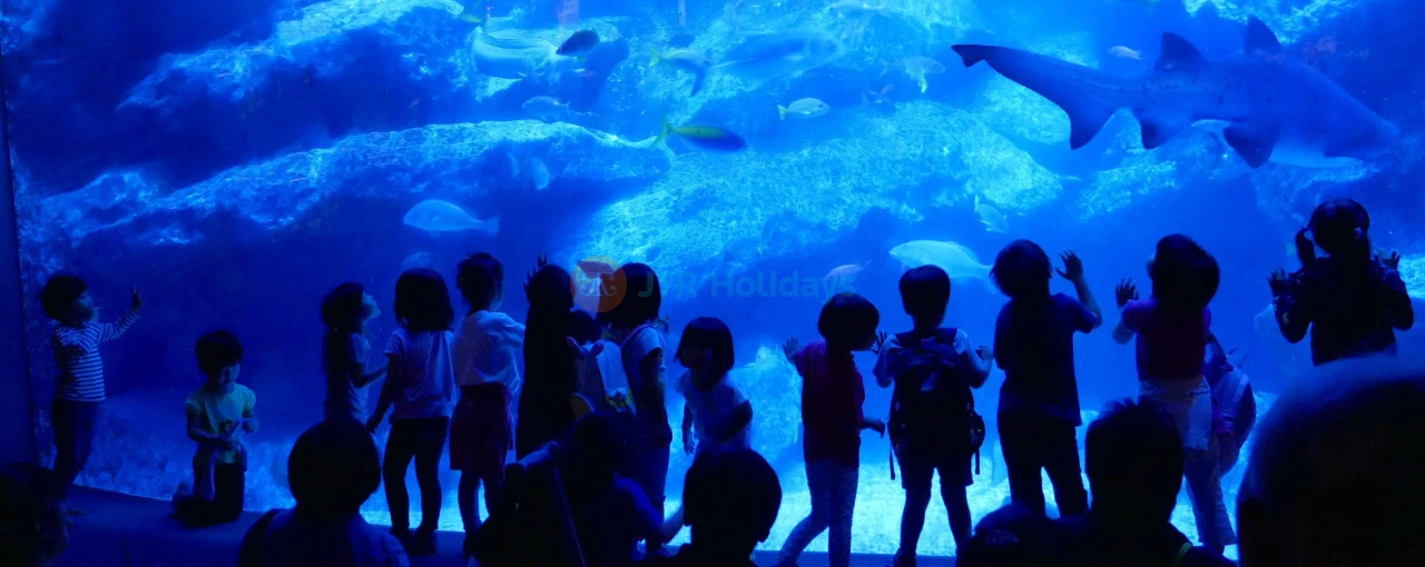 Sumida Aquarium - Image 4 of 5