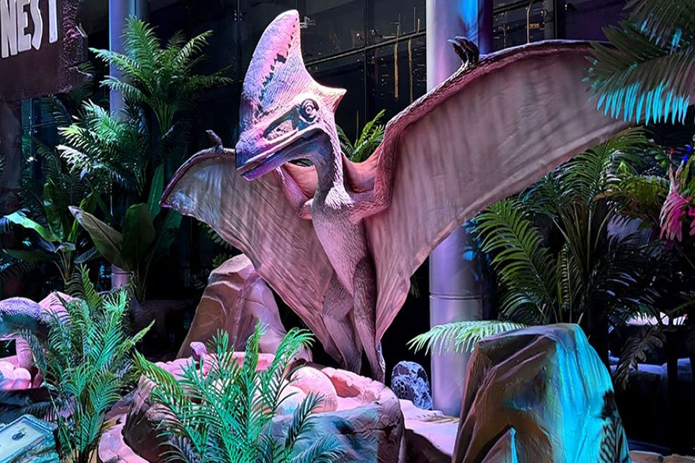 Jardin Lumineux de Dubaï - Image 3 sur 5