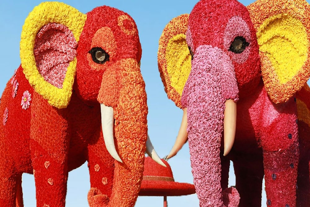 Dubai Garden Glow - Image 7 of 8