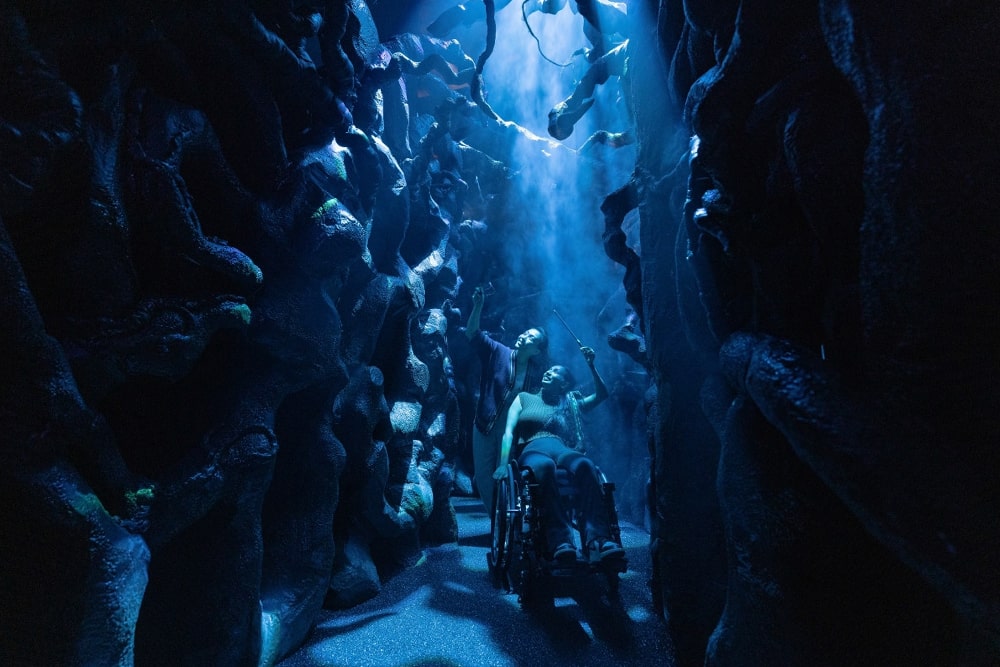 Harry Potter Visions de la Magie - Image 3 of 7