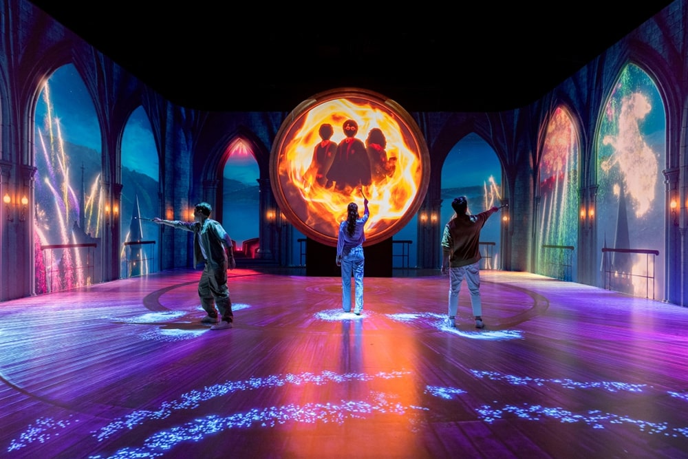 Harry Potter Visions de la Magie - Image 4 of 7