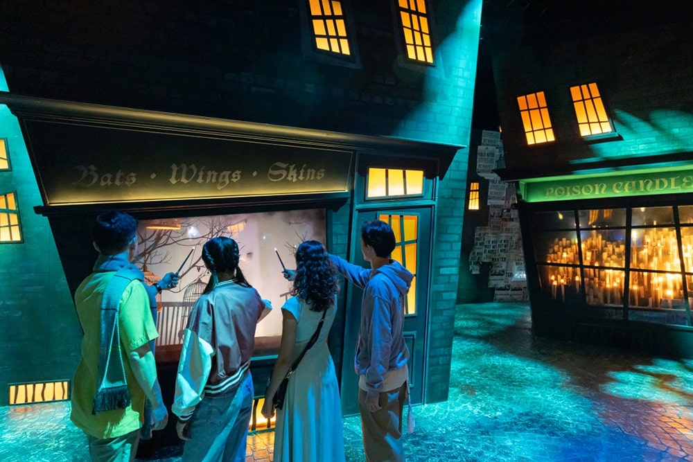 Harry Potter Visiones de Magia - Imagen 5 de 5