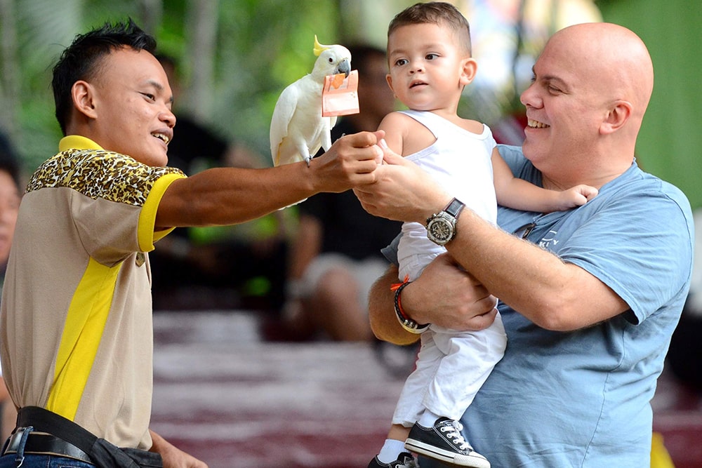 말라카 아파모사 티켓 - Image 2 of 6