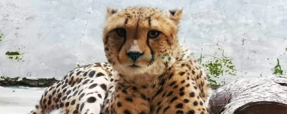 A’Famosa Ticket in Melaka - Image 3 of 5