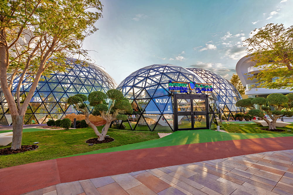 The Butterfly Gardens Abu Dhabi - Explore 10,000+ butterflies, sloths & caimans at Butterfly Gardens Abu Dhabi + National Aquarium's 10 zones, Glass Bridge & Wildlife Rescue. Al Qana tickets from AED 55. 2-week validity, kids 12+ only. Book now! The Butterfly Gardens Abu Dhabi - Image 1 of 5