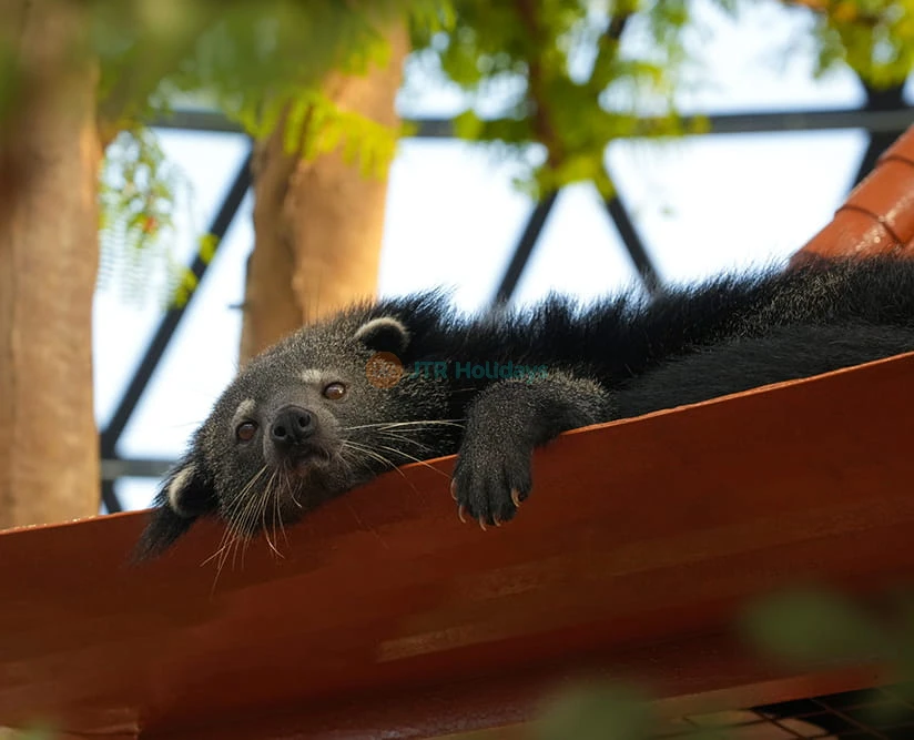 The Butterfly Gardens Abu Dhabi - Image 2 of 8