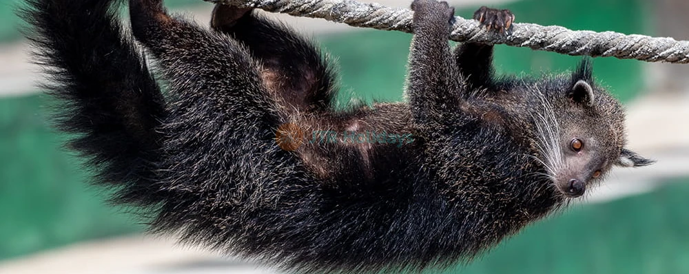 The Butterfly Gardens Abu Dhabi - Image 4 of 5