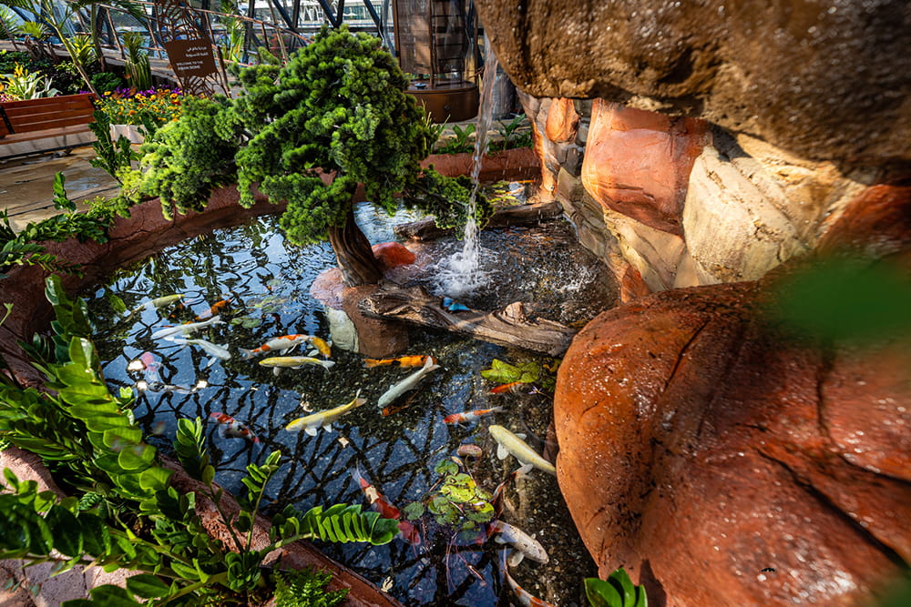 Los Jardines de las Mariposas Abu Dhabi - Imagen 5 de 5