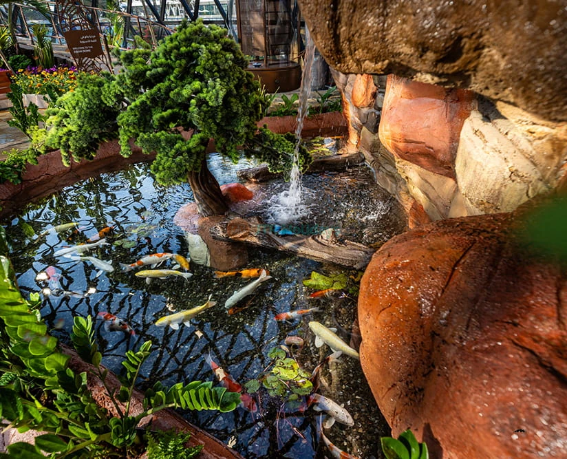 The Butterfly Gardens Abu Dhabi - Image 5 of 8