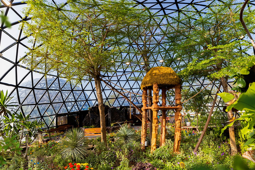 Los Jardines de las Mariposas Abu Dhabi - Image 6 of 8