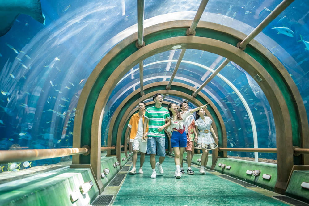 ヴィンワンダーズ フーコック遊園地チケット - 画像 2 の 5