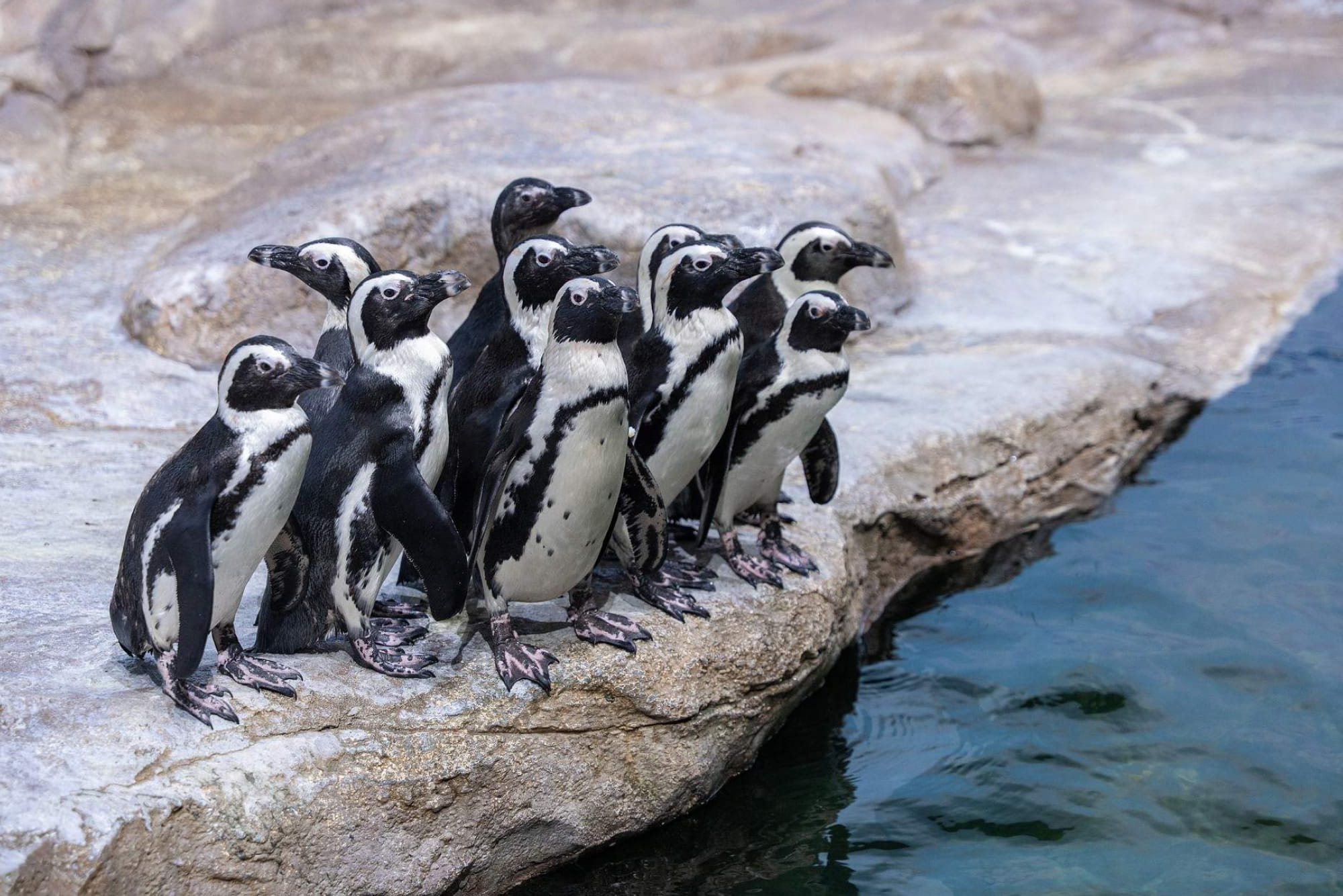 Lotte World Aquarium Hanoi Ticket - Image 1 of 6