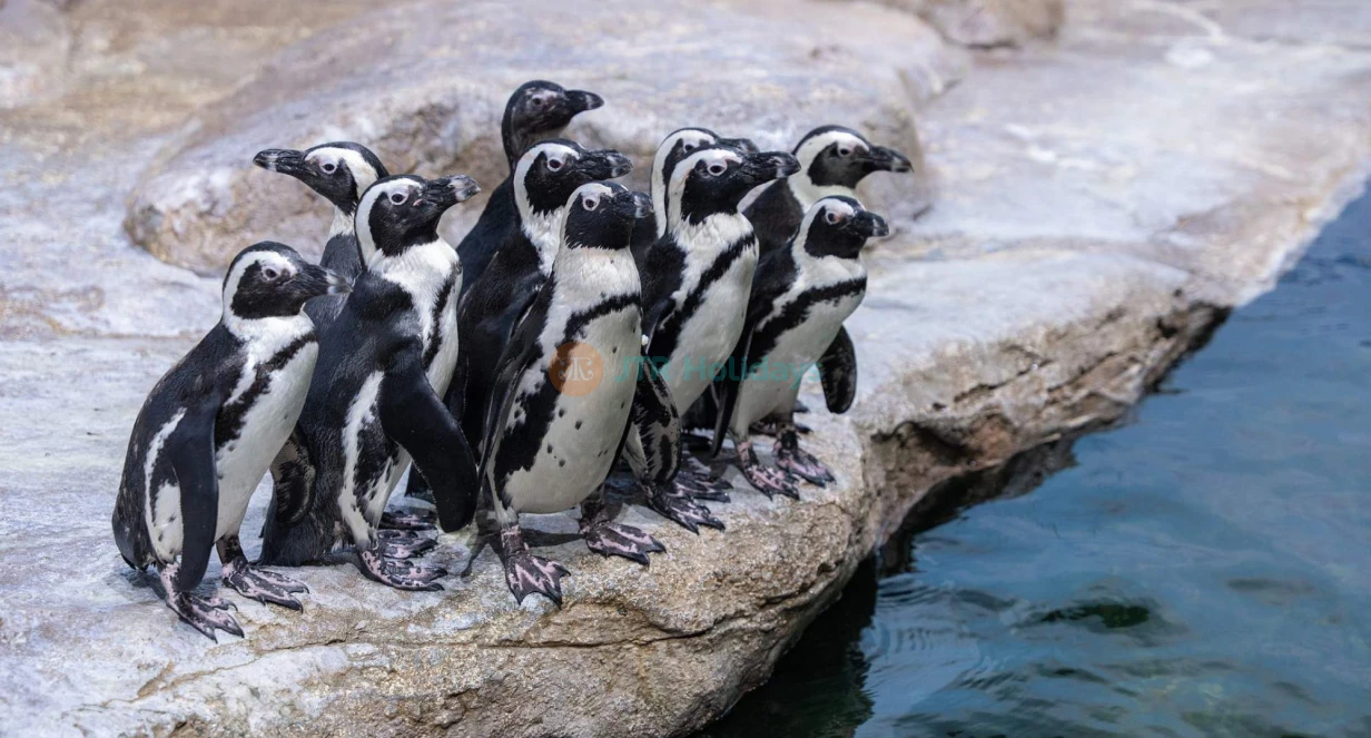 乐天世界水族馆河内门票 - 图片 1 的 5