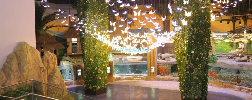 乐天世界水族馆河内门票 - 探索河内乐天世界水族馆,拥有67个水族箱,超过31,000只海洋生物,互动展览,以及确保顺利且有趣体验的重要游客贴士。 乐天世界水族馆河内门票 - 图片 3 的 5