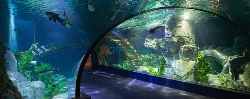 乐天世界水族馆河内门票 - 探索河内乐天世界水族馆,拥有67个水族箱,超过31,000只海洋生物,互动展览,以及确保顺利且有趣体验的重要游客贴士。 乐天世界水族馆河内门票 - 图片 4 的 5