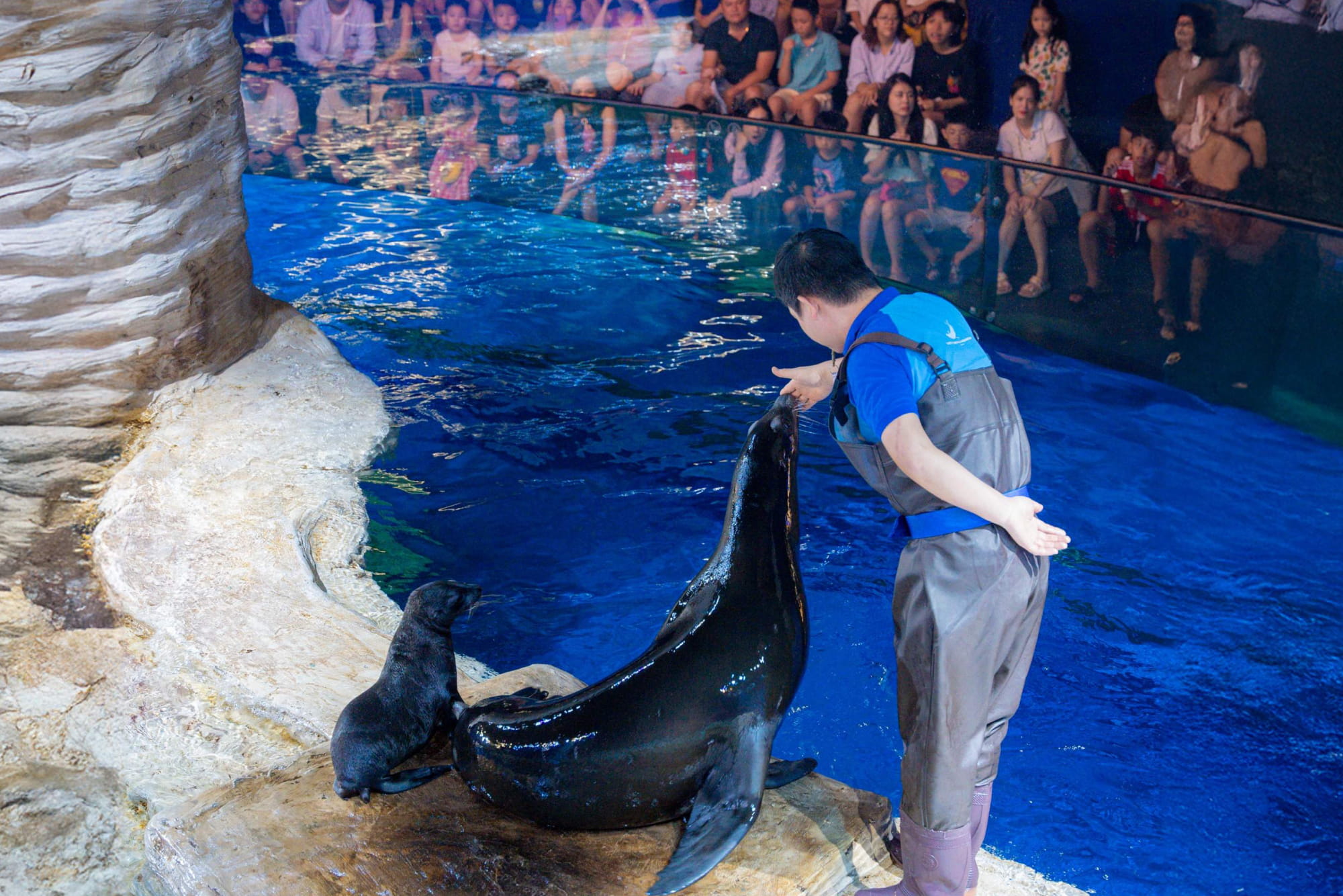 Lotte World Aquarium Hanoi Ticket - Image 5 of 5