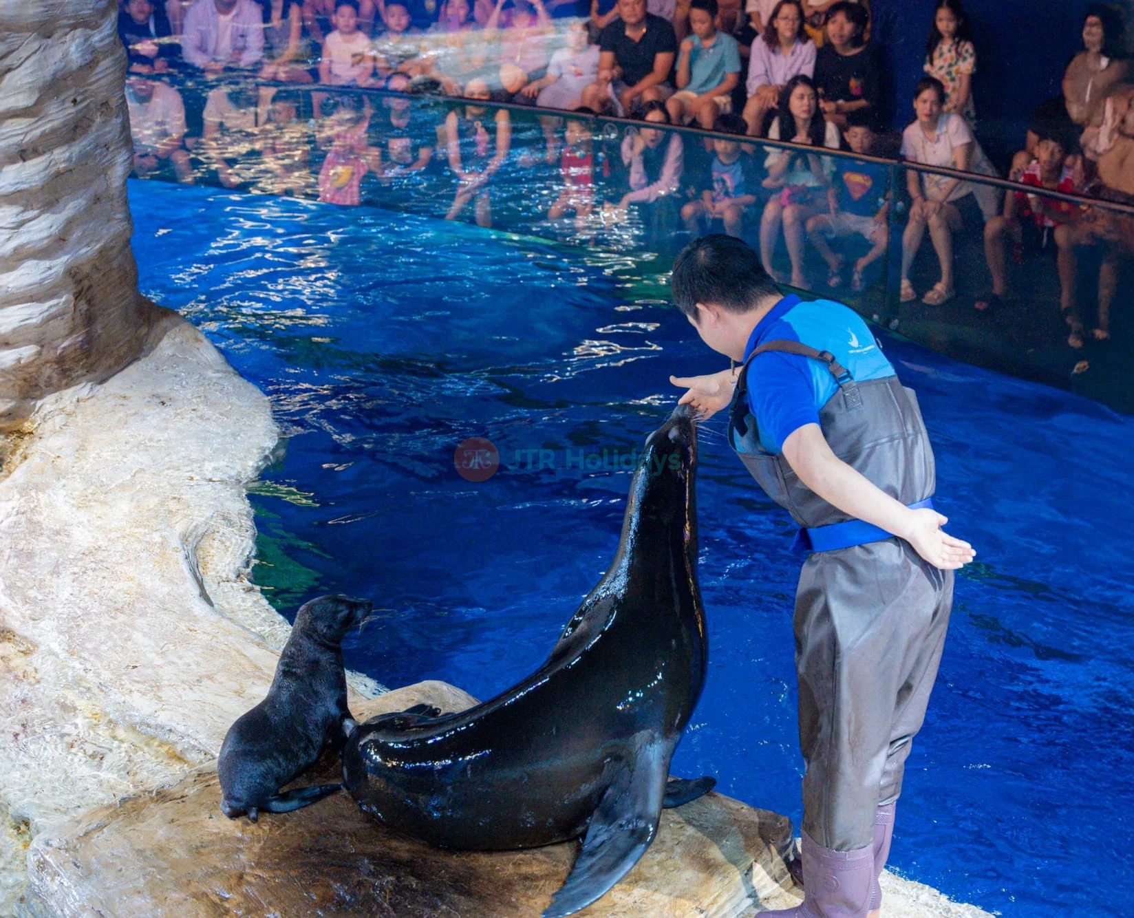 Lotte World Aquarium Hanoi Ticket - Image 5 of 5