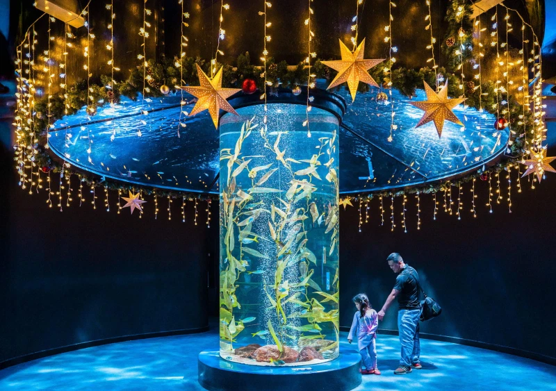 Biglietto per Lotte World Aquarium Hanoi