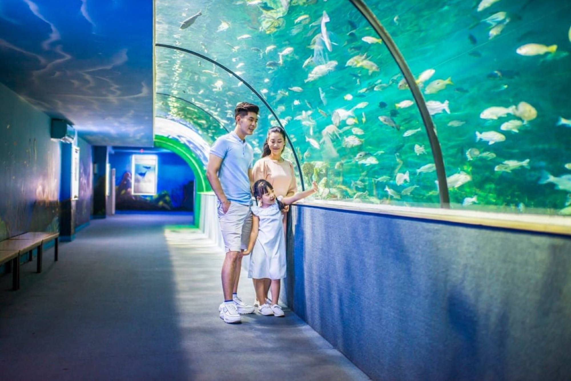 Vinpearl Aquarium Times City Hanoi Ticket - Discover Vinpearl Aquarium Times City in Hanoi with themed marine zones, a 180‑degree underwater tunnel, and immersive 3D exhibits. Perfect for families and children. Vinpearl Aquarium Times City Hanoi Ticket - Image 1 of 5