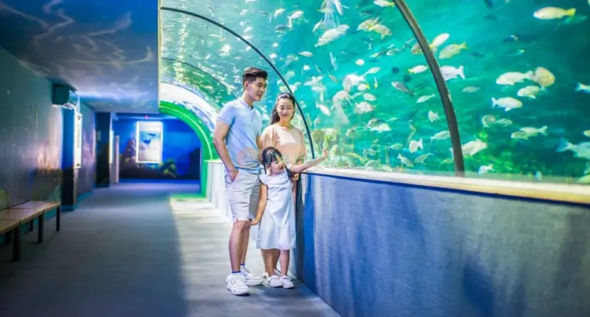 Vinpearl Aquarium Times City Hanoi Ticket - Image 1 of 6