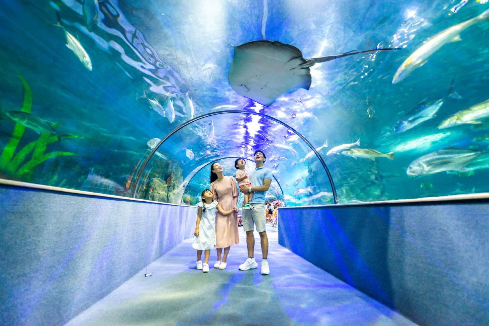 Vinpearl Aquarium Times City Hanoi Ticket - Entdecken Sie das Vinpearl Aquarium Times City in Hanoi mit thematischen Meereszonen, einem 180-Grad-Unterwassertunnel und eindrucksvollen 3D-Ausstellungen. Perfekt für Familien und Kinder. Vinpearl Aquarium Times City Hanoi Ticket - Bild 4 von 5