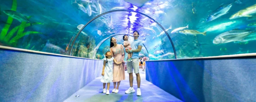 Vinpearl Aquarium Times City Hanoi Ticket - Discover Vinpearl Aquarium Times City in Hanoi with themed marine zones, a 180‑degree underwater tunnel, and immersive 3D exhibits. Perfect for families and children. Vinpearl Aquarium Times City Hanoi Ticket - Image 4 of 5