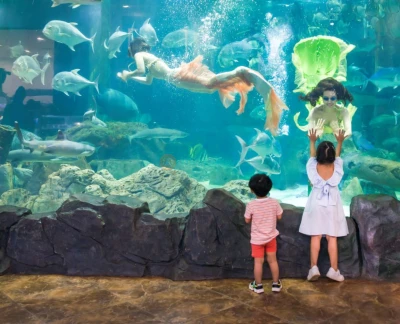 Vinpearl Aquarium Times City Hanoi Ticket - Discover Vinpearl Aquarium Times City in Hanoi with themed marine zones, a 180‑degree underwater tunnel, and immersive 3D exhibits. Perfect for families and children. Vinpearl Aquarium Times City Hanoi Ticket - Image 5 of 5