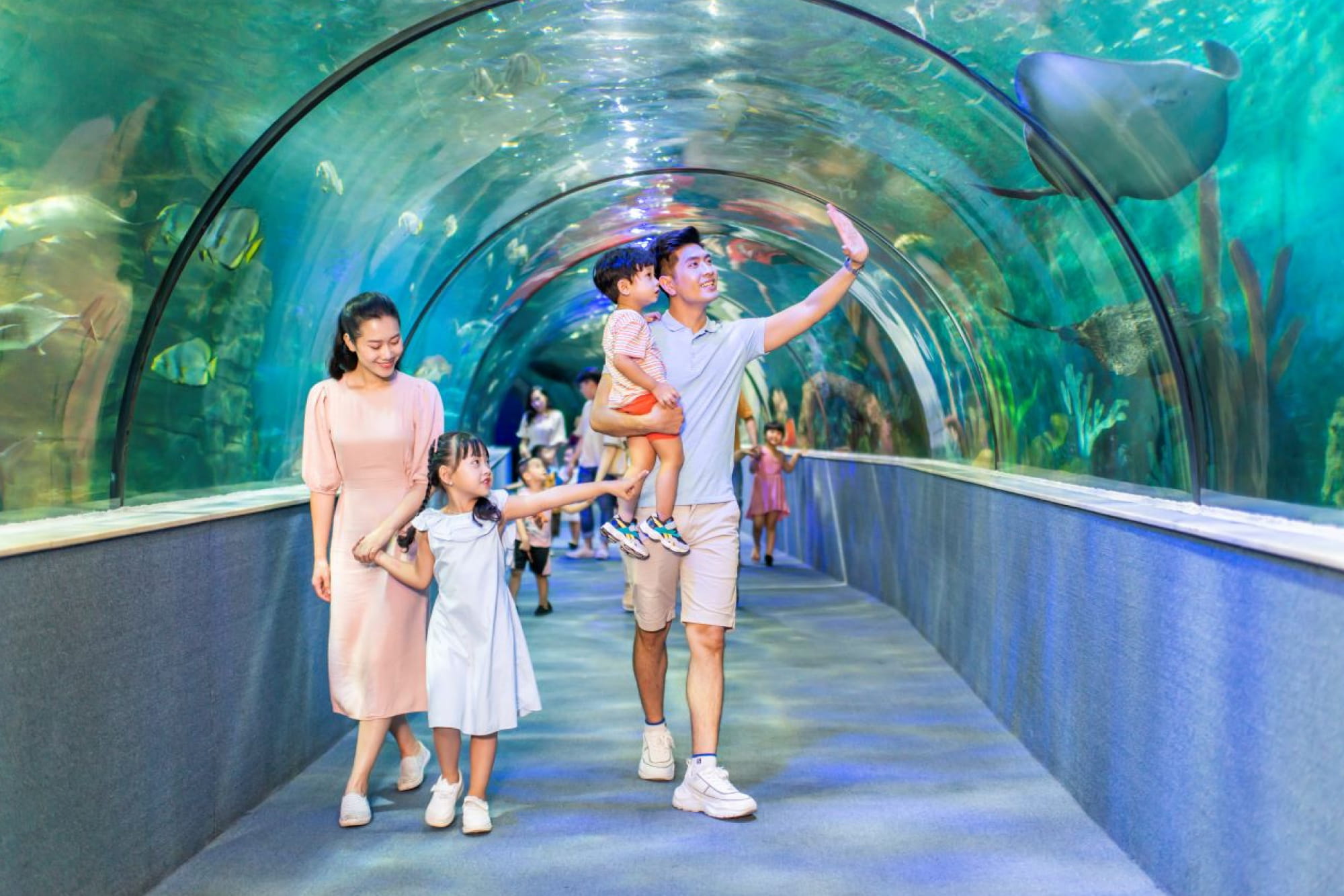 Vinpearl Aquarium Times City Hanoi Ticket - Image 6 of 6