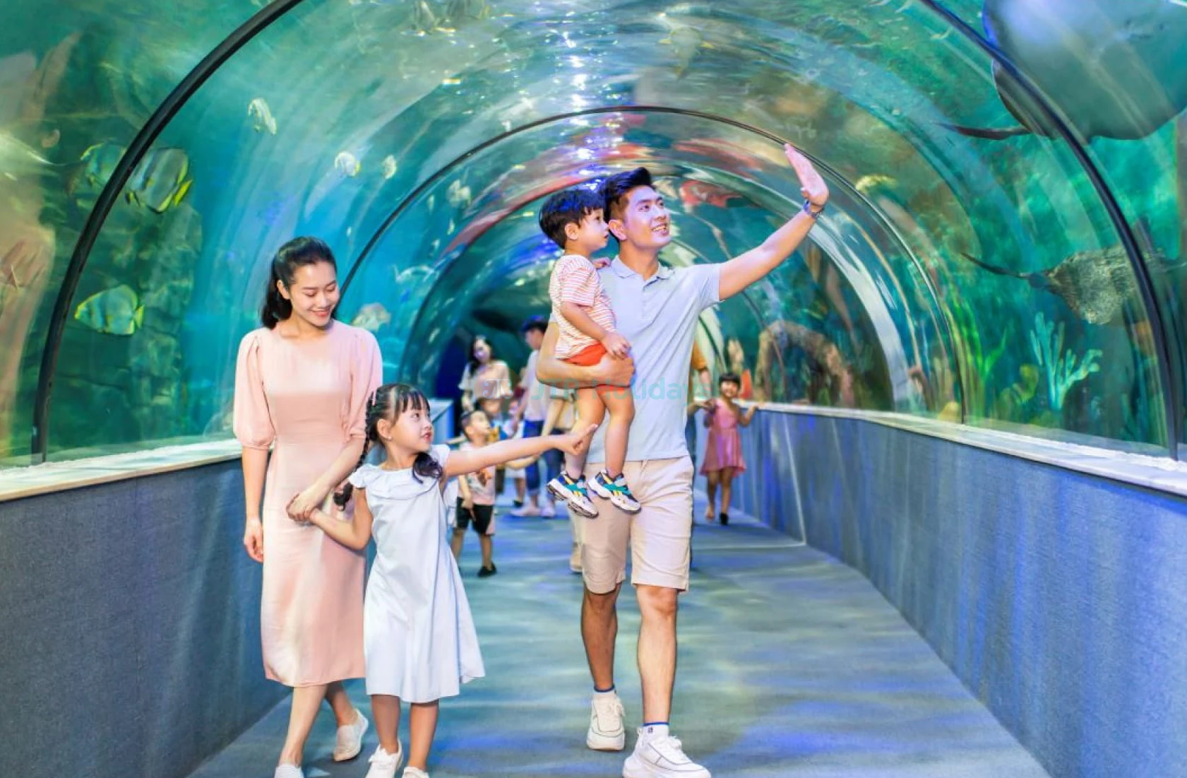 Vinpearl Aquarium Times City Hanoi Ticket - Image 6 of 6