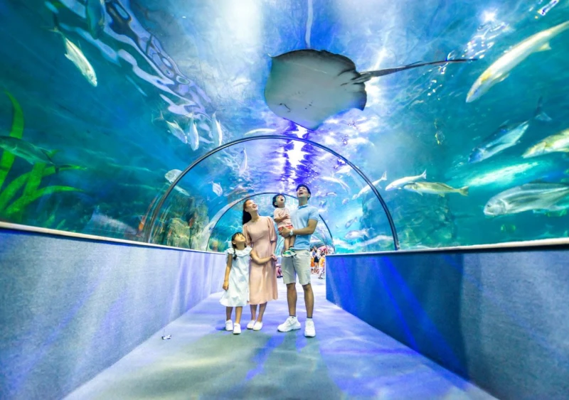 Biglietto per Vinpearl Aquarium Times City Hanoi
