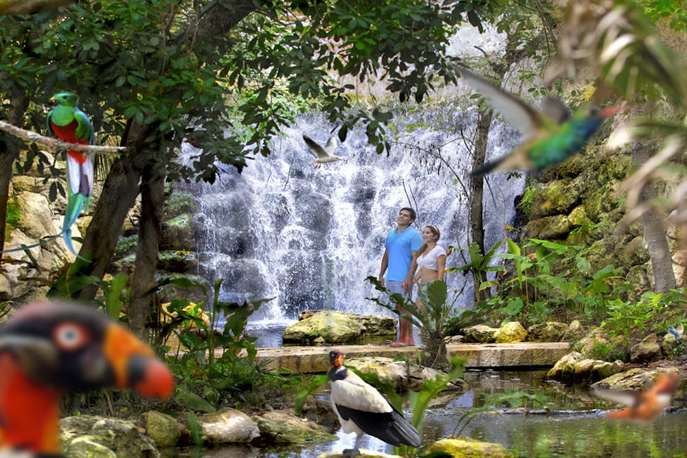 Xcaret Park - Experience Xcaret Eco‑Archaeological Park in the Riviera Maya. Enjoy underground rivers, cenotes, wildlife, Mayan culture, and family‑friendly adventures. Xcaret Park - Image 1 of 5