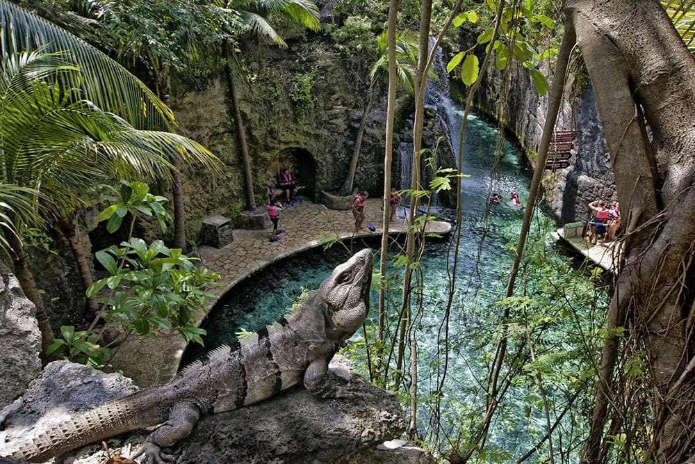 Xcaret Park - Image 3 of 7