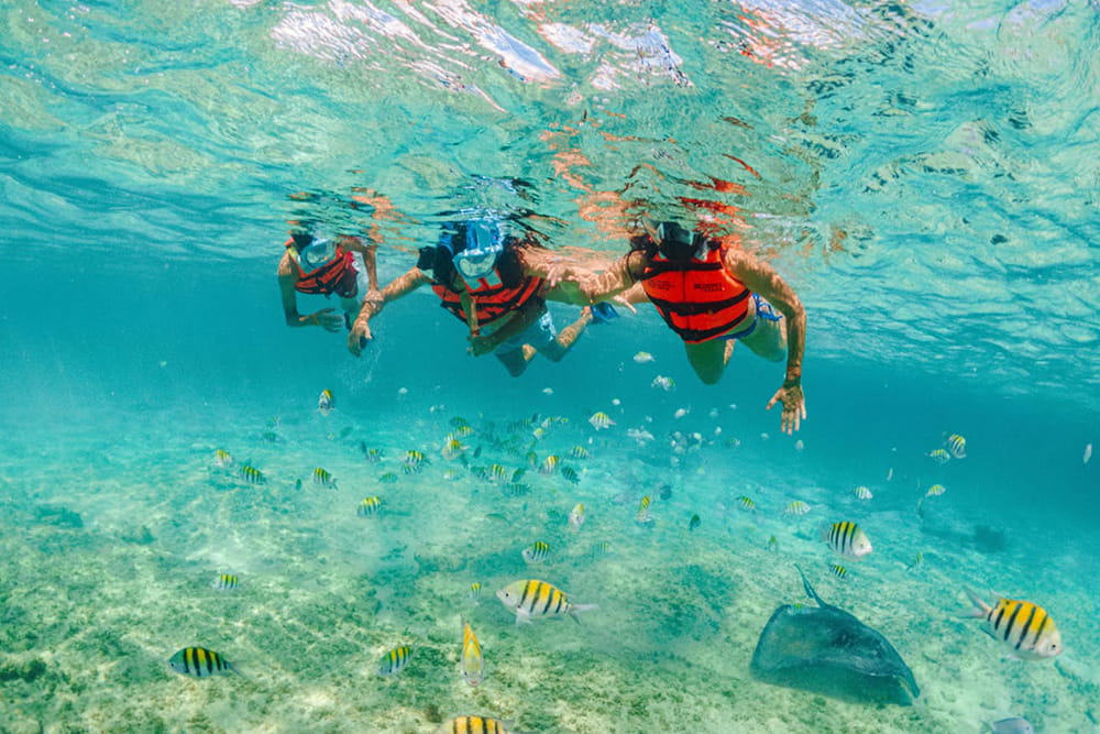 Xcaret Park - Image 7 of 7