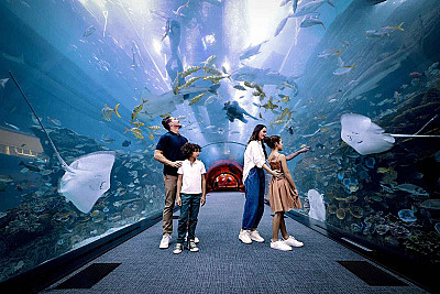 Dubai Premium Holiday Package – 4 Nights 5 Days - Изображение 5 из 5