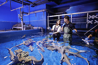 Dubai Premium Holiday Package – 4 Nights 5 Days - Image 8 of 14