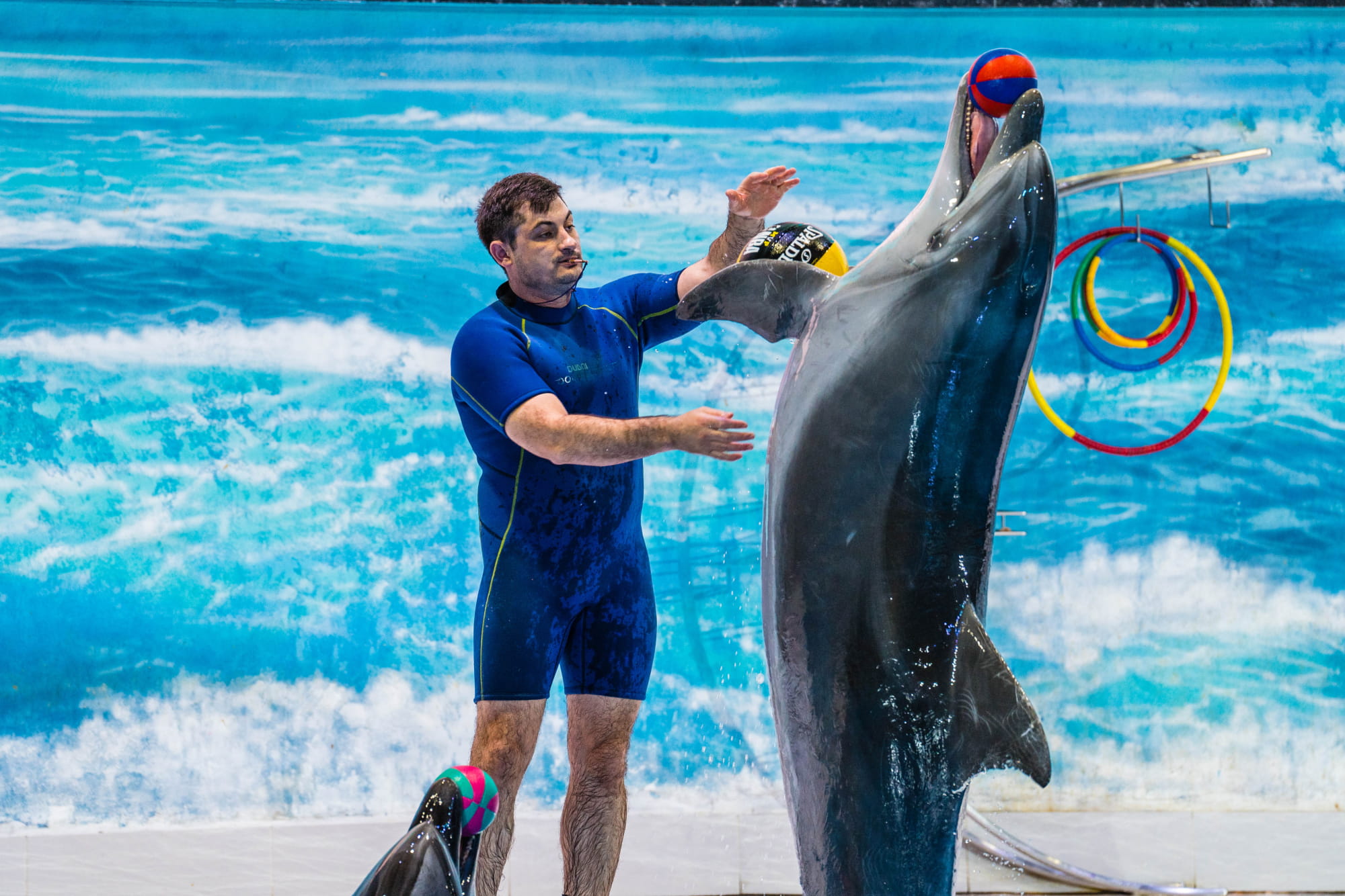 Роскошный тур в Дубай и Абу-Даби на 5 ночей и 6 дней - Image 8 of 16