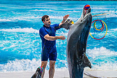 Ultimate Dubai Honeymoon Premium 7 Day Romantic Journey - Image 10 of 18