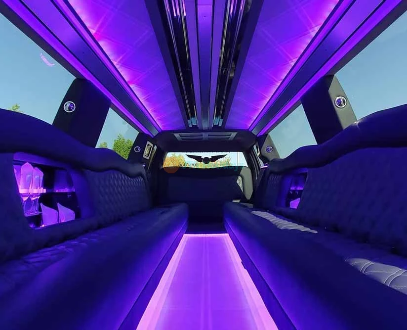 Ford Raptor Limo Dubai (21 Pax) - Image 5 of 5
