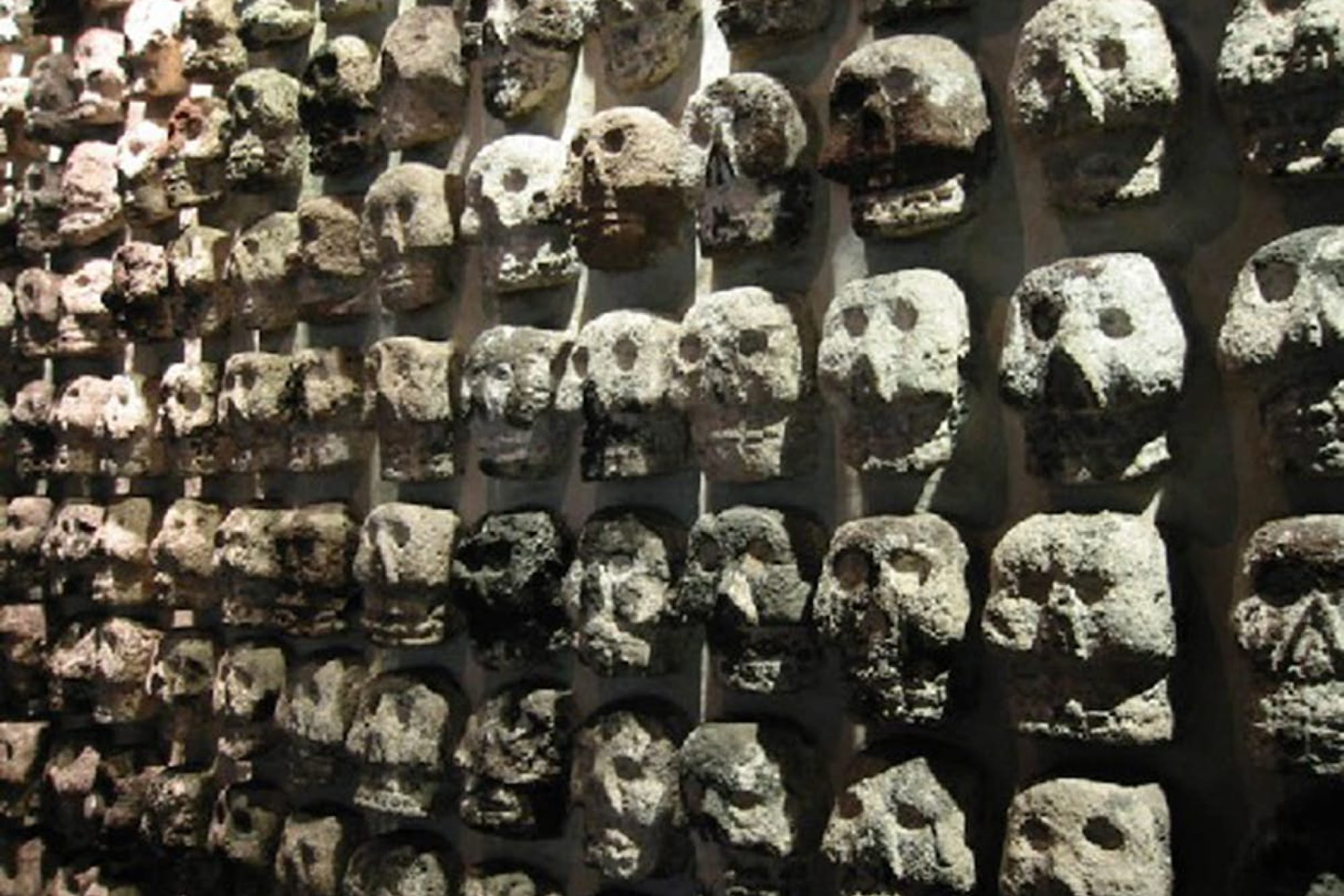 Museo del Templo Mayor - Überspringen Sie die Warteschlange beim Templo Mayor und erkunden Sie Aztekenruinen, 8 Museumsräume und 7.000 Artefakte. Erwachsene ab 12 Jahren, Kinder 3–11 Jahre. Ein Muss in Mexiko-Stadt. Museo del Templo Mayor - Bild 3 von 5
