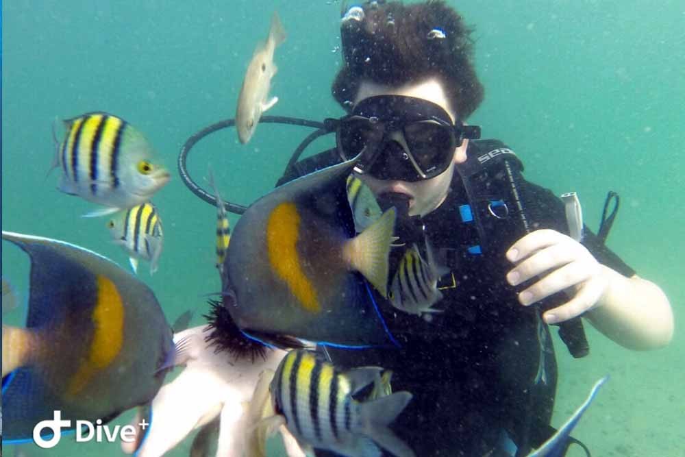 Excursion d'initiation à la plongée sous-marine en bord de mer - Dubaï - Vivez l'expérience Découvrir la plongée sous-marine à Dubaï. Nos instructeurs de plongée certifiés vous guideront pas à pas. Nous commencerons par des briefings sur la sécurité et l'équipement lors du trajet vers les sites de plongée de Dubaï. Suit ensuite un aperçu des faits généraux sur la plongée sous-marine ainsi que des démonstrations de base et pratiques une fois dans l'eau. Excursion d'initiation à la plongée sous-marine en bord de mer - Dubaï - Image 2 sur 5