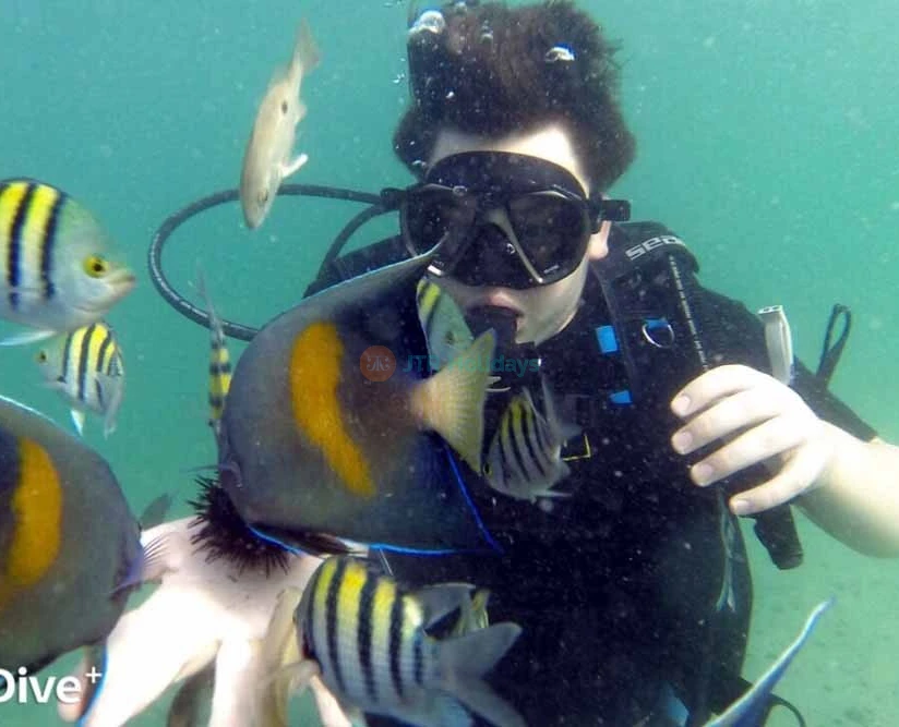Discover Scuba Diving in Dubai - Diving Trip with Pickup and Drop off - JTR Holidays - Image 2 of 5