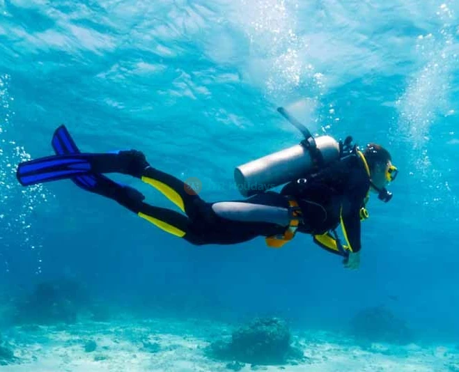 Tour de Buceo de Prueba en Playa - Dubái - Imagen 5 de 5