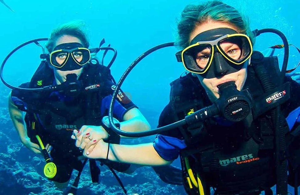 Discover Scuba Diving in Dubai - Diving Trip with Pickup and Drop off - JTR Holidays - Image 6 of 6