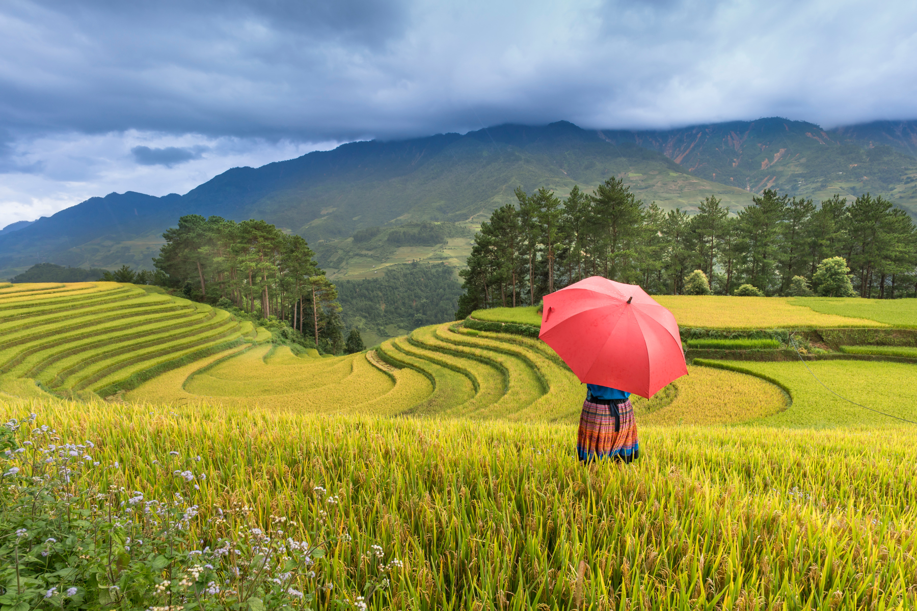 Northern Vietnam Tour 06 Nights 07 Days - Explore northern Vietnam in 7 days! Discover Hanoi’s landmarks, trek Cat Cat Village in Sapa, and cruise the stunning Halong Bay. Includes selected meals, transfers, guides, and optional experiences like street food tours, Vespa rides, and cooking classes. Perfect for first-time travelers seeking culture, nature, and adventure. Northern Vietnam Tour 06 Nights 07 Days - Image 1 of 5