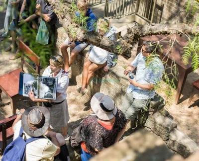Visite guidée à pied de The Rocks d’une durée de 1 h 30 au départ de Sydney - Découvrez le plus ancien quartier de Sydney avec The Original Rocks Walking Tours. Profitez d’une visite guidée de 90 minutes à travers ruelles cachées, rues historiques et récits du port de Sydney avec des guides experts. Visite guidée à pied de The Rocks d’une durée de 1 h 30 au départ de Sydney - Image 5 sur 5