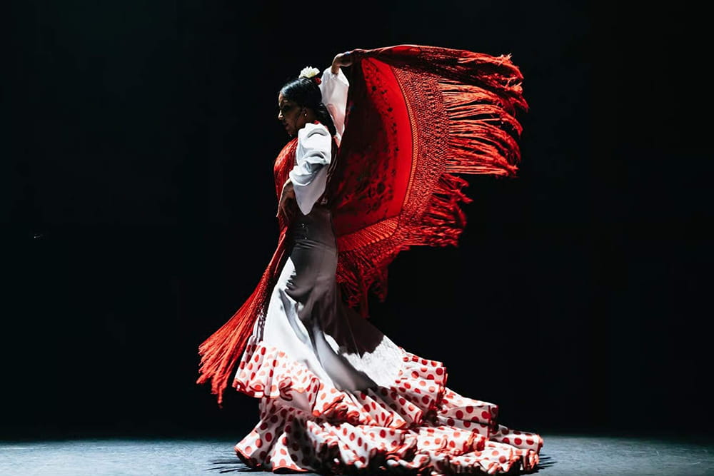 Pasion Flamenco Show in Seville - Experience an authentic flamenco show in Seville at Teatro Flamenco Sevilla. Enjoy passionate dance, live guitar, and soulful singing in the heart of Andalusia. Daily 60‑minute shows, comfortable seating, wheelchair accessible, with evening performances in summer. Book now for one of the best flamenco experiences in Seville. Pasion Flamenco Show in Seville - Image 2 of 5