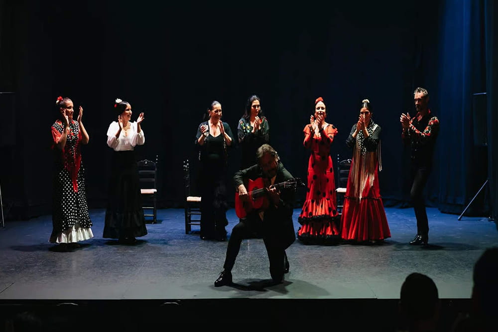 Pasion Flamenco Show in Seville - Experience an authentic flamenco show in Seville at Teatro Flamenco Sevilla. Enjoy passionate dance, live guitar, and soulful singing in the heart of Andalusia. Daily 60‑minute shows, comfortable seating, wheelchair accessible, with evening performances in summer. Book now for one of the best flamenco experiences in Seville. Pasion Flamenco Show in Seville - Image 3 of 5